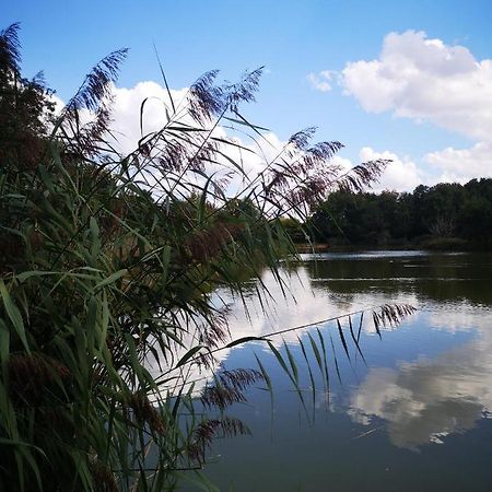 Gite La Maison De L Etang Foucherans  Ngoại thất bức ảnh