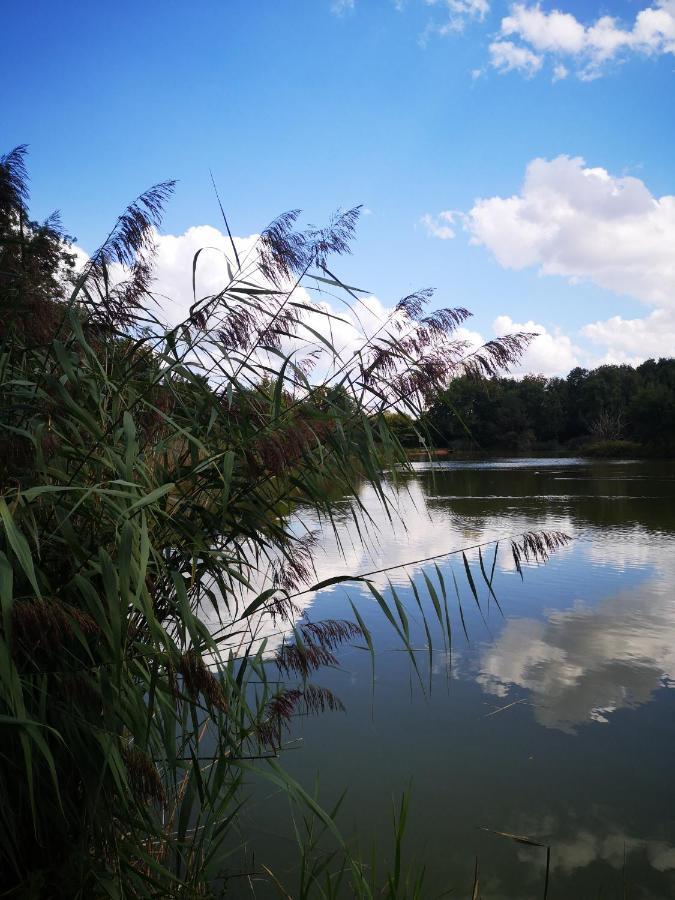 Gite La Maison De L Etang Foucherans  Ngoại thất bức ảnh